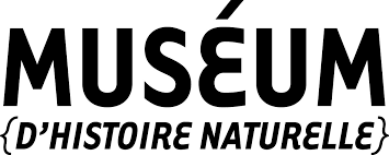 Nantes Museum